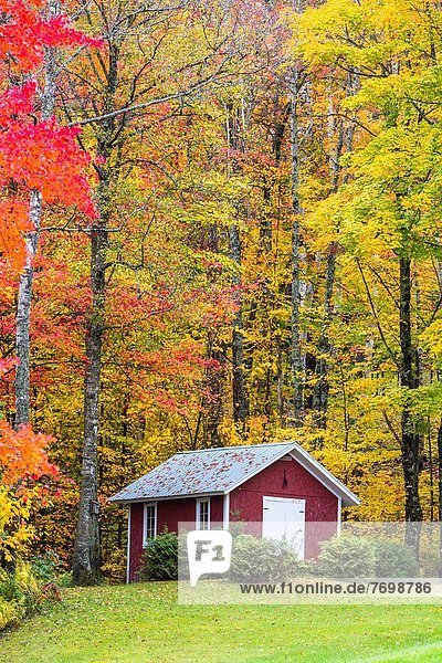Vereinigte Staaten von Amerika USA Farbaufnahme Farbe Wohnhaus Baum Herbst Vermont