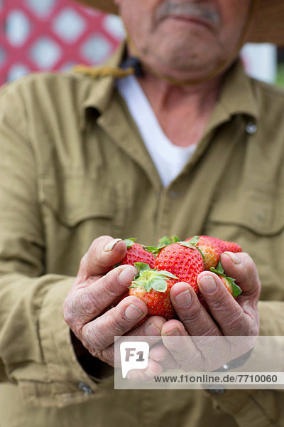 Man holding strawberries outdoors