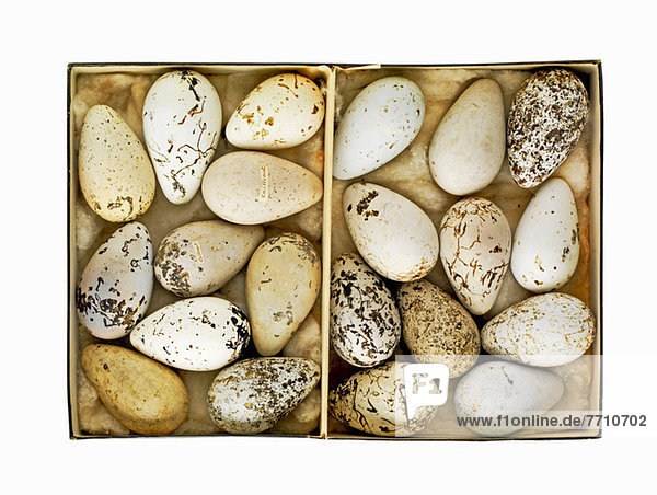 Schachtel mit alten gesprenkelten Eiern