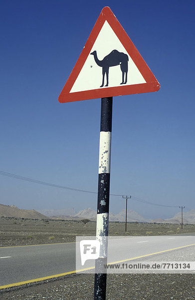 Fernverkehrsstraße  Zeichen  Wüste  Bundesstraße  Gefahr  Kamel  Signal
