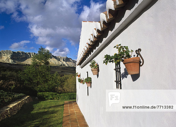 View Along The White Wall Of A Finca.