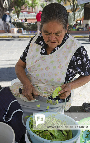 Senior  Senioren  Frau  Lebensmittel  Vorbereitung  Mexiko  Außenaufnahme  verkaufen  Kaktus  Guanajuato  Markt