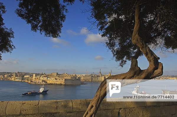 Valletta  Hauptstadt  Garten