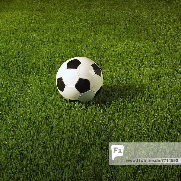 Fußball Gras Ball Spielzeug