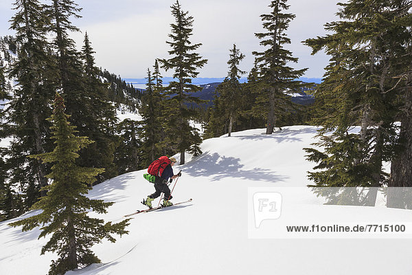 Cross-Country Skier On Trail To Edwards Lake Cabin In Tetrahedron Provincial Park  British Columbia Canada
