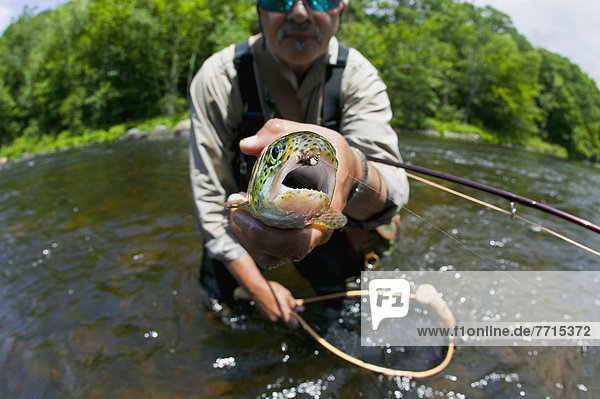 Fisherman Holding Up A Fish  Agawam Massachusetts Usa