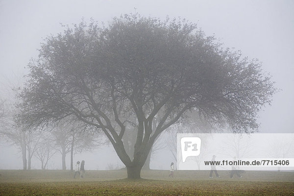 Family Walking Through Park In The Autumn Mist  Ontario Canada