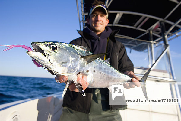 Man holding a false albacore tuna  new york usa