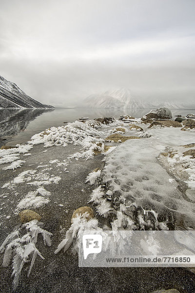 Nationalpark  Küste  See  Eis  Form  Formen  vorwärts  Kluane Nationalpark