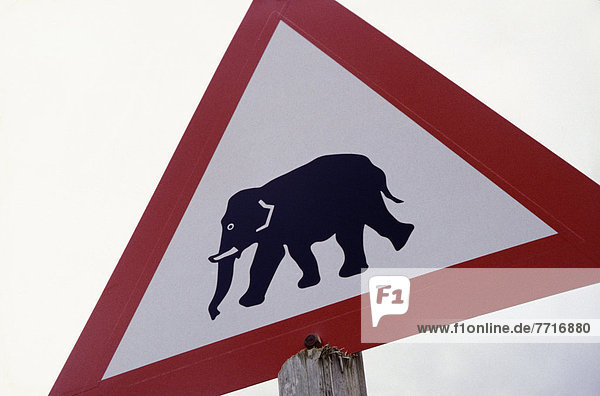 Zeichen  Elefant  Signal