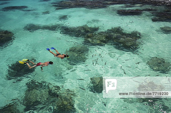 Couple Snorkeling In Tropical Ocean Water Near Fish And Reef  View From Above.