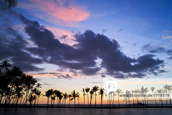 Hawaii  Big Island  Anaeho'omalu Bay Fish Pond  Sunset Silhouettes A Line Of Palm Trees.