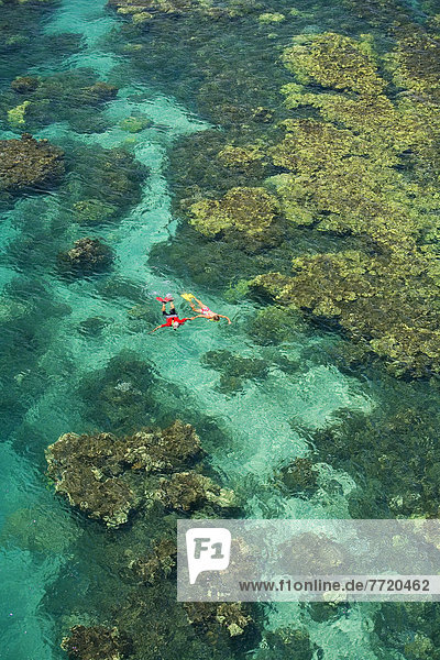 Hawaii  Maui  Couple Snorkeling In Ocean With Beautiful Coral Formations Off Olowalu  View From Above.