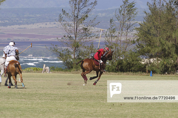 Mann Feld reiten - Pferd Küste Hawaii North Shore Oahu spielen