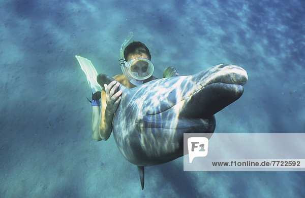 Red Sea Tursiops Truncatus Bottlenose Dolphin With Girl