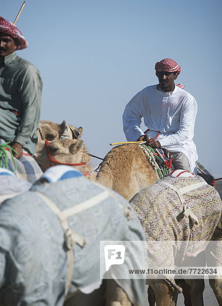 Camel Herders