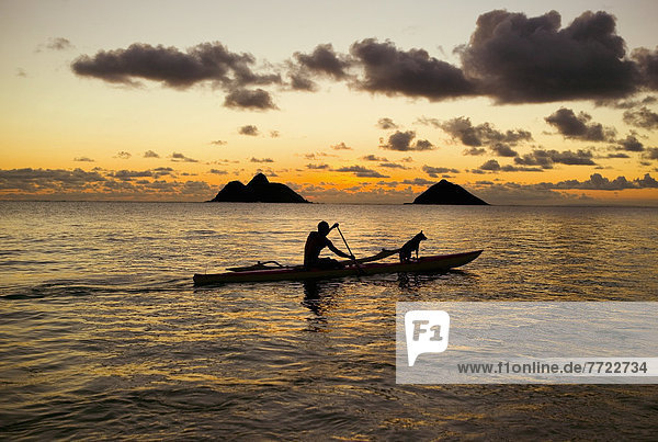 Mann  Sonnenuntergang  Hund  Kanu  1  Hawaii  Oahu