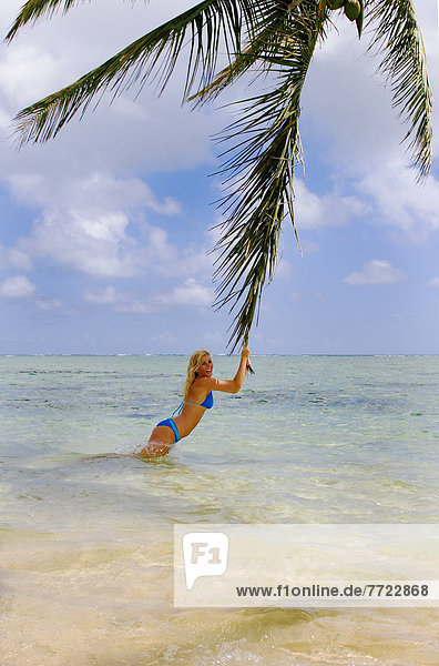 stehend  Tropisch  Tropen  subtropisch  Frau  Schönheit  Strand  Baum  Ozean  halten  jung  Palme  Farn  Hawaii  Oahu  überhängen