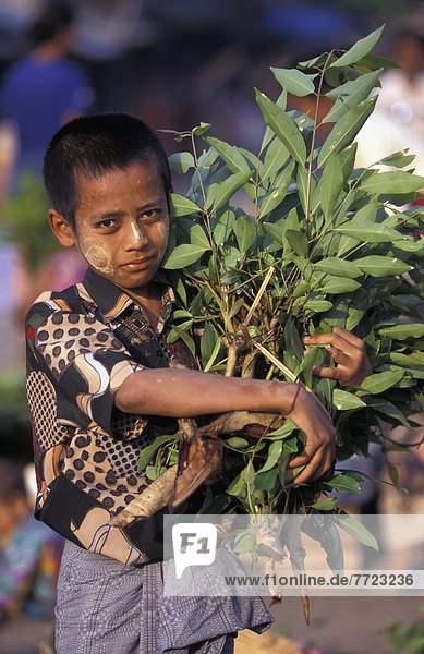 Boy Carrying Branches  Zegyo Market