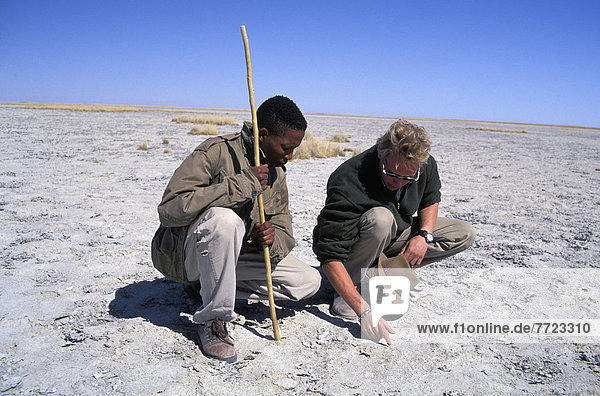 Makgadikgadi Pans: Tracking Brown Hyenas On The Salt Pans