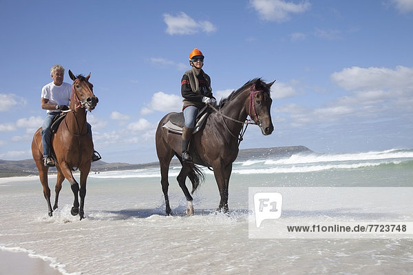 Horse Riding On Noordhoek Beach  Cape Town  South Africa  Horse Riding On Noordhoek Beach  Cape Town  South Africa