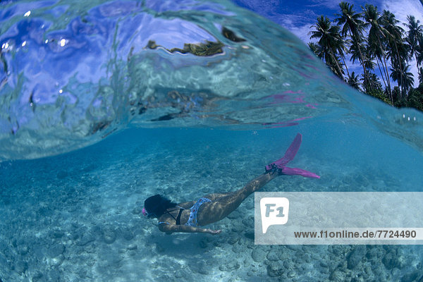 Marshall Islands  Majuro Atoll  Snorkeler Near Reef Bottom  Over/Under Shot With Palms Background  B1321
