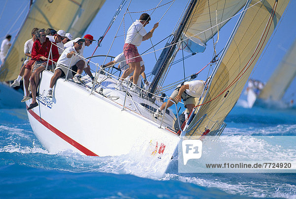 Florida  Key West Yacht Race  Bow Of Yacht  Crew In Action C1304