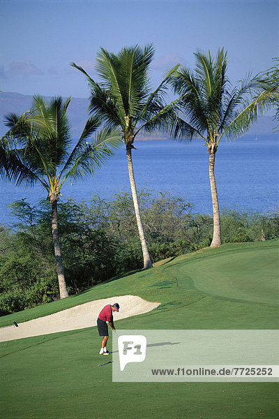Mann  Ozean  Schatten  grün  Hintergrund  Gras  Golfsport  Golf  Hawaii  Maui