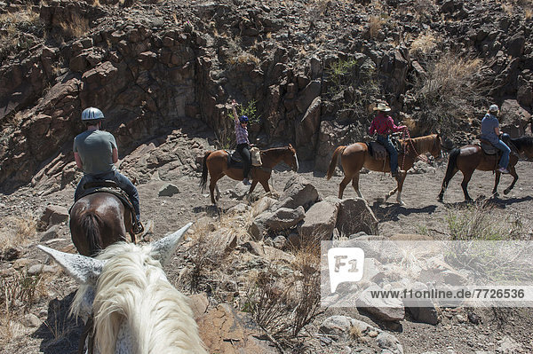 Horseback Riding In Big Bend Ranch State Park  Texas  Usa