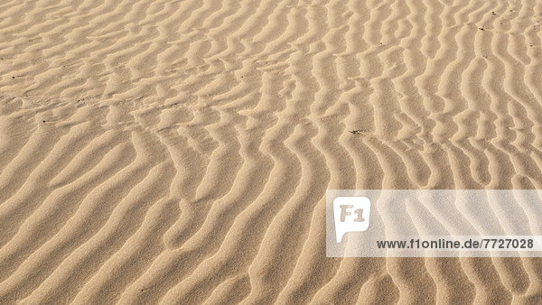Muster  Strand  Sand  Marokko