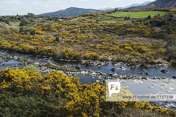 Großbritannien  Hintergrund  Fluss  Kerry County  Irland  Iveragh Halbinsel