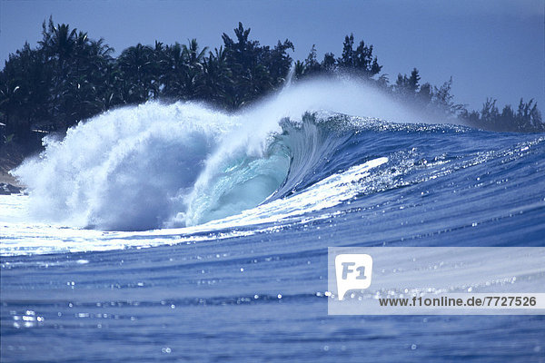 Wave Crashing Near Shoreline  Palm Trees In Background  Shimmery Ocean
