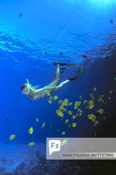 Woman Snorkeling  Milletseed Butterflyfish  Beautiful Blue Ocean  Sunrays Shining Through Surface