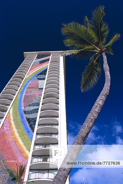 blauer Himmel  wolkenloser Himmel  wolkenlos  Palme  Dorf  Ansicht  eckig  Hawaii  hawaiianisch  Oahu  Waikiki