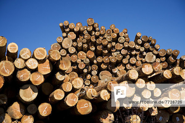 Haufen Holzstoß Holz Betrieb Oregon