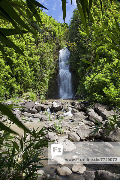 Überfluss  Pflanze  umgeben  Wasserfall  Bambus  Hana  Hawaii  Maui