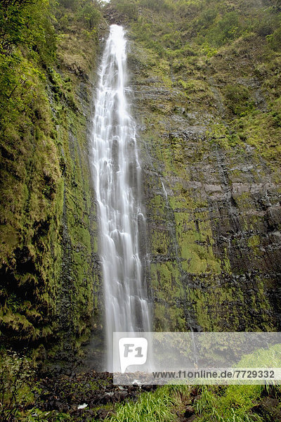Überfluss  Wasserfall  Laub  Hawaii  Maui