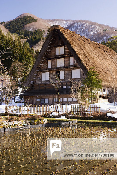 Traditional Japanese Village House With Thatched Roof With Rice Field In Front  Shirakawa  Gifu  Japan