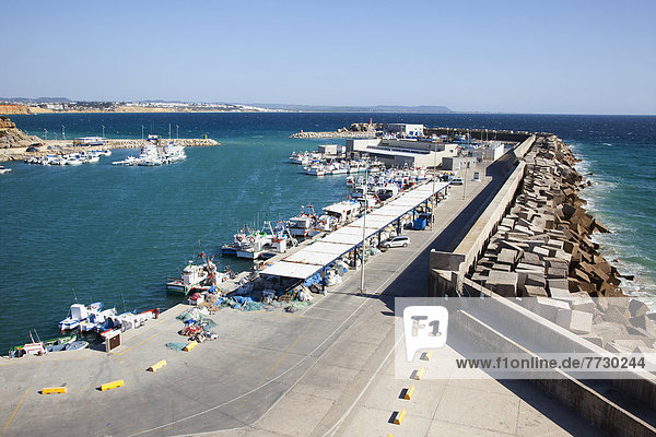 A Busy Harbour  Conil De La Frontera  Andalusia  Spain