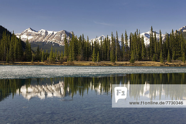 Snow Capped Mountain Range Reflecting In A Mountain Lake With Blue Sky  Alberta  Canada