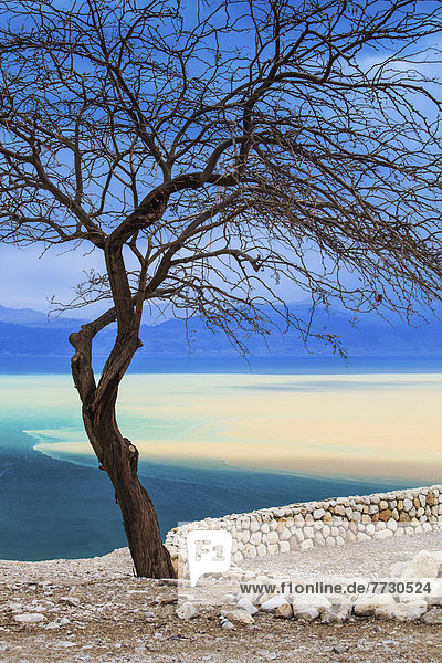Dead Sea  Jordan Valley Israel