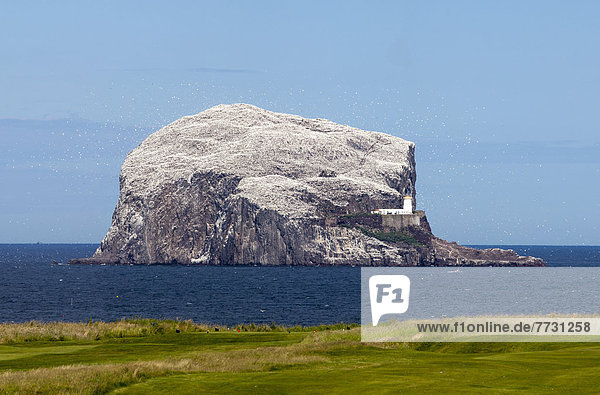 Large Rock Formation (Bass Rock) In The Ocean With A Lighthouse  Lothian Scotland