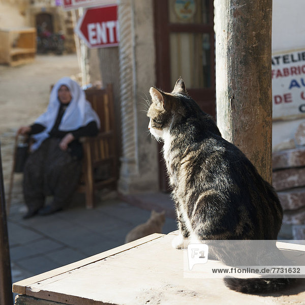 A Cat Sits On A Wooden Crate In The Sunlight And A Woman Sits On A Chair Outside A Shop  Ortahisar Nevsehir Turkey