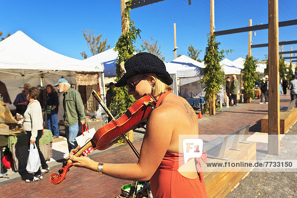 USA  New Mexico  Fiddler playing at Saturday crafts market  Santa Fe