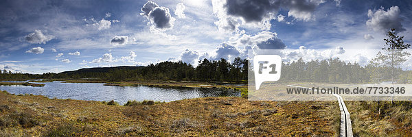 Naturreservat Knuthöjdsmossen  Västmanland  Örebro Län  Schweden  Europa