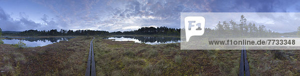 Naturreservat Knuthöjdsmossen,  Västmanland,  Örebro Län,  Schweden,  Europa