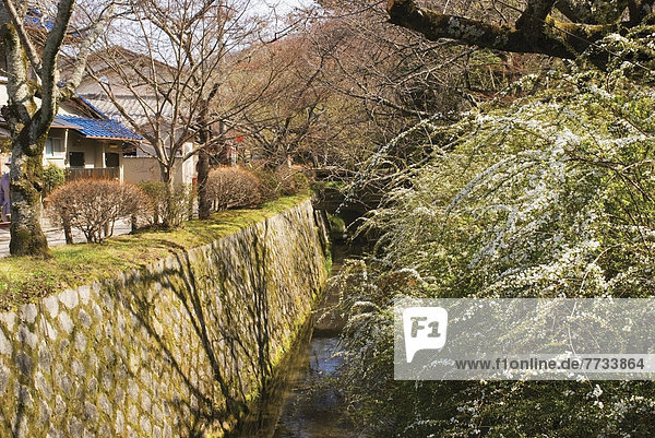 Japan Kyoto alt