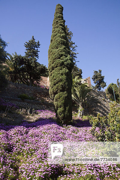 Andalusien Malaga Spanien