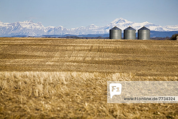 Getreide  Berg  bedecken  Himmel  Hintergrund  Feld  blau  Stoppelfeld  Alberta  Kanada  Metall  Schnee