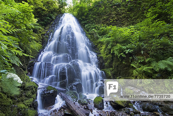 Waterfall With Lush Foliage  Oregon United States Of America